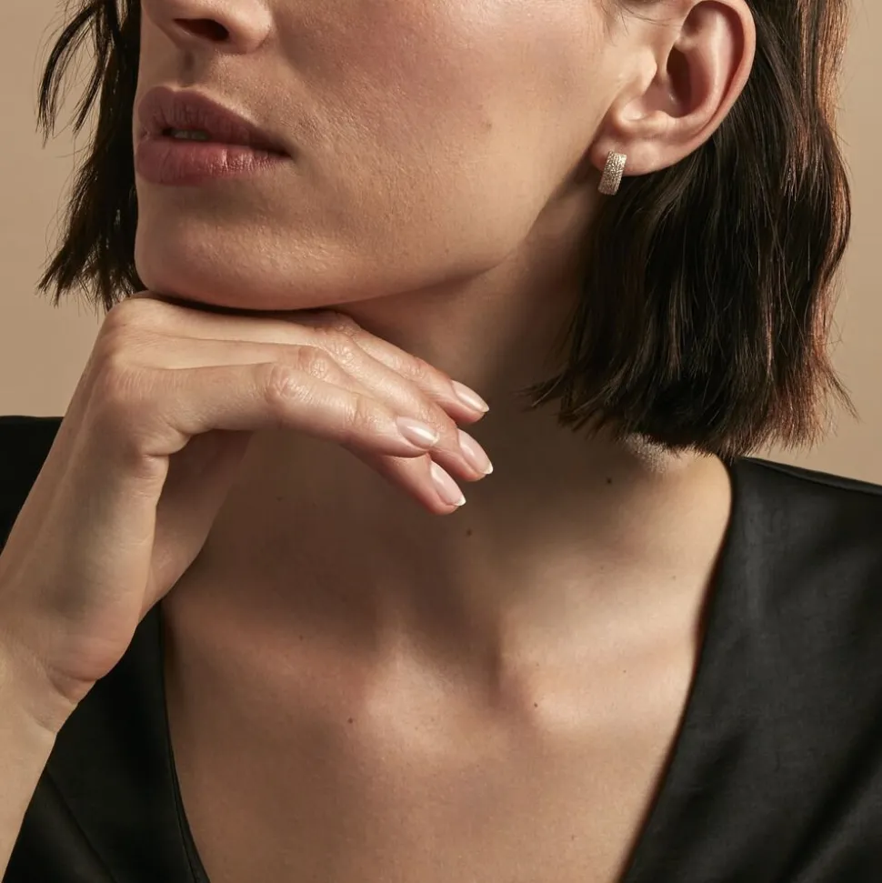 Boucles D'oreilles Puces Charlotte Or Jaune Diamant