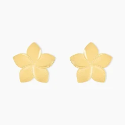 Boucles D'oreilles Puces Maora Acier Jaune