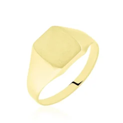 Chevalière Ayliz Or Jaune