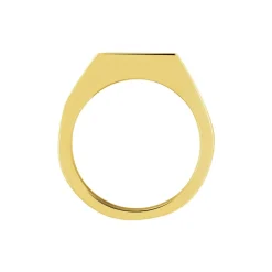PHEBUS HIM Idées Cadeaux Homme|Bagues > Chevalière Classique Acier Jaune