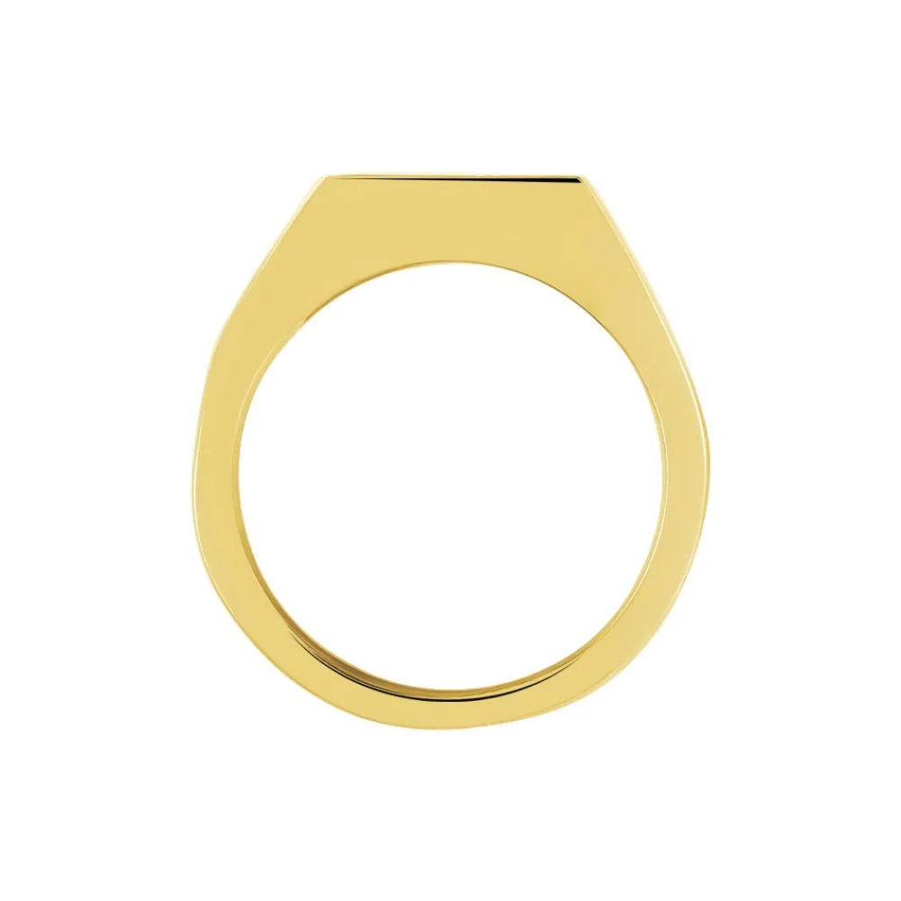 PHEBUS HIM Idées Cadeaux Homme|Bagues > Chevalière Classique Acier Jaune