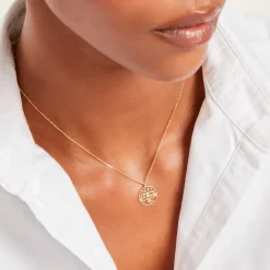 Marc Orian Colliers Arbre De Vie|Colliers > Collier Cairbre Or Jaune