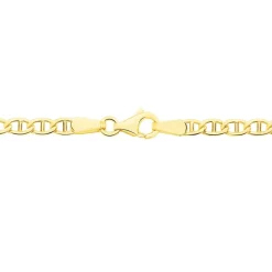 Marc Orian Colliers|Chaines Homme > Collier Capucin Or Jaune Maille Marine Plate