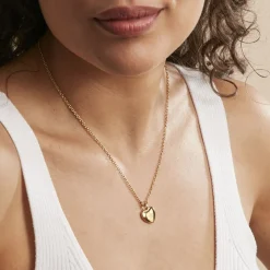Collier Earline Acier Doré