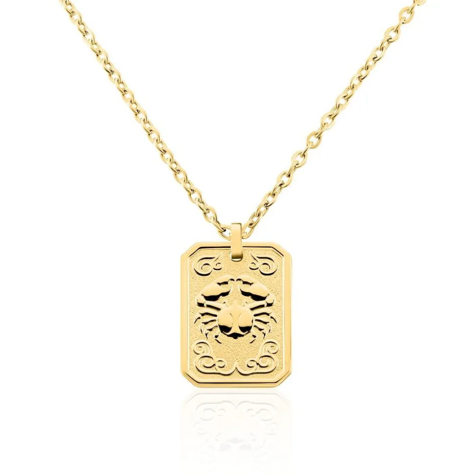 Collier Phebus Him Acier Jaune
