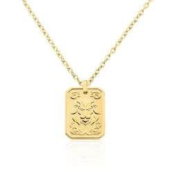 Collier Phebus Him Acier Jaune