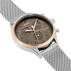 Montre Boss Companion Gris