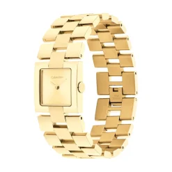 Montre Calvin Klein Ck Meridian Champagne