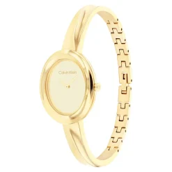 Montre Calvin Klein Twisted Bezel Doré