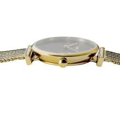 Montre Cluse Triomphe Noir