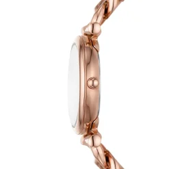 Montre Fossil Carlie Mini Argenté