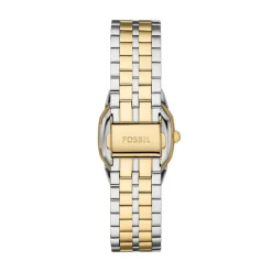 Montre Fossil Harlow Crème