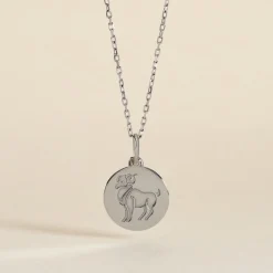 Marc Orian Pendentifs|Pendentifs Personnalisés > Pendentif Zodiaque Rond Argent Blanc